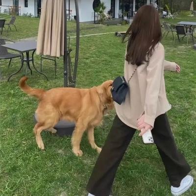 滨河街之春